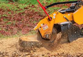 Best Tree Trimming and Pruning  in Karns, TN